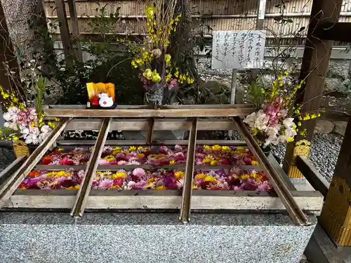 東京大神宮(東京都)