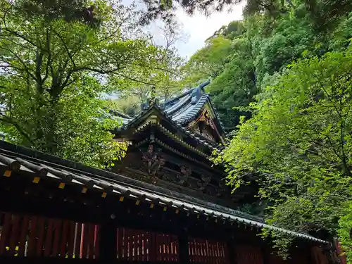 静岡浅間神社の本殿