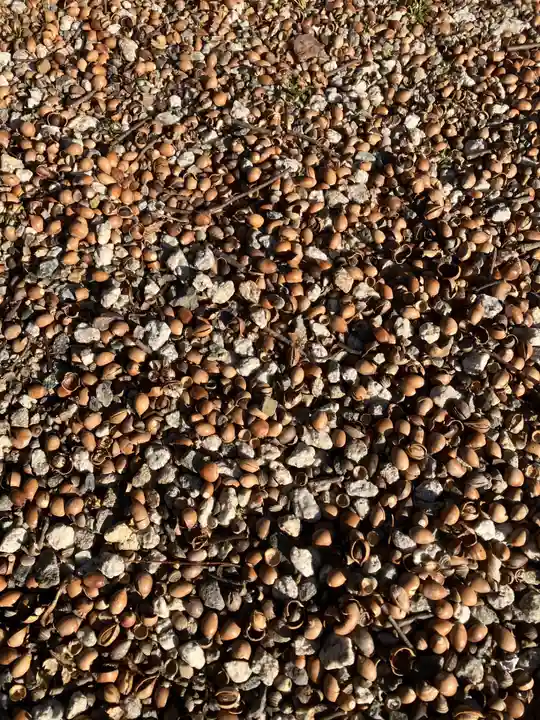 村國真墨田神社(岐阜県)