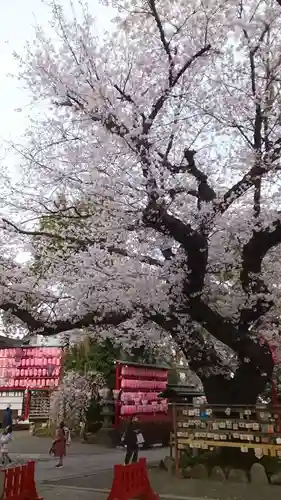 居木神社(東京都)