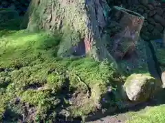 平泉寺白山神社(福井県)