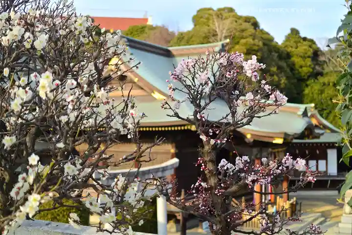 赤羽八幡神社(東京都)