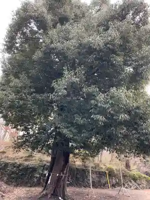 三峯神社のその他建物