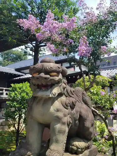 白山神社の狛犬