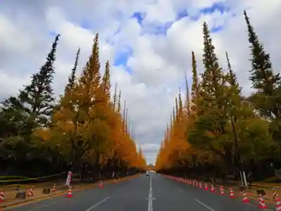明治神宮(東京都)