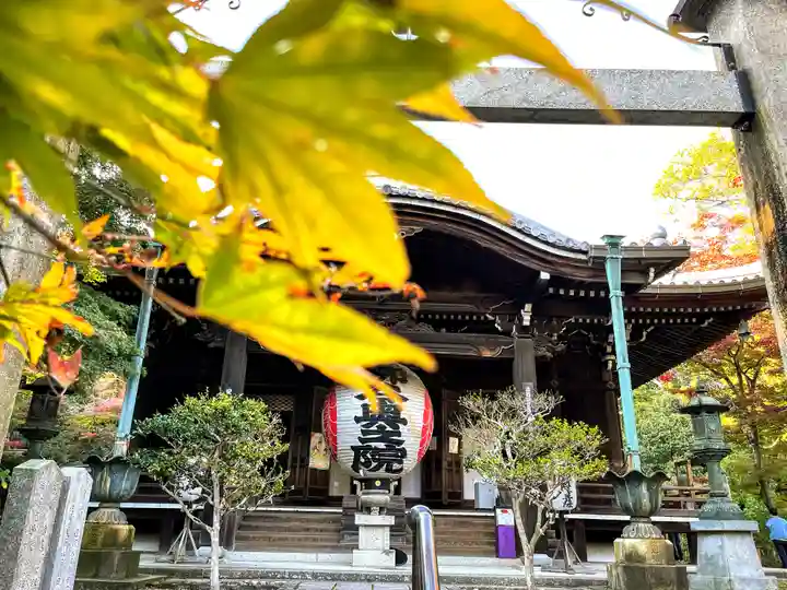 柳谷観音 楊谷寺(京都府)