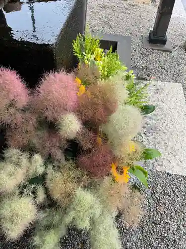 上尾御嶽神社の手水