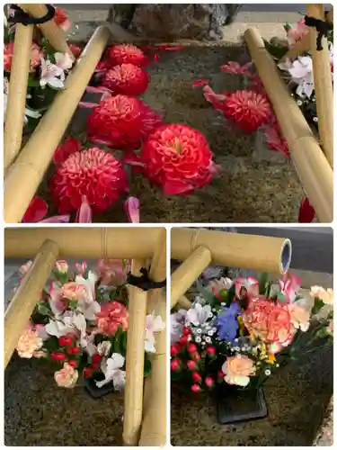 舞子六神社／まいこむの宮の手水舎