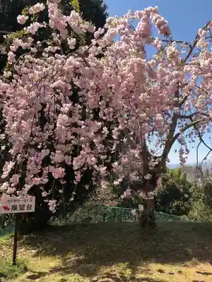 大神神社(奈良県)