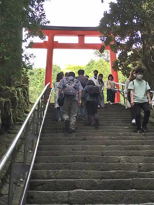 箱根神社の鳥居