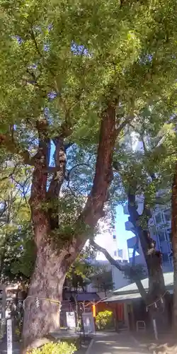 若宮八幡社(愛知県)