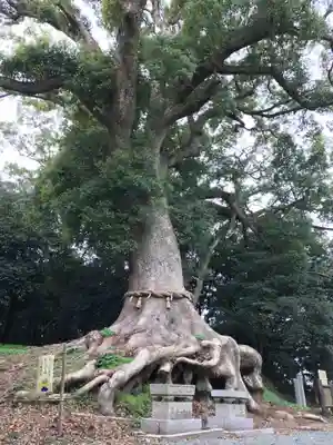 光岡八幡宮(福岡県)