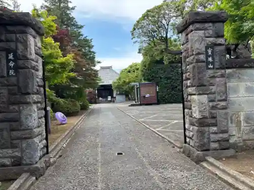 延命院の{uncategorized: "未分類", other: "その他", undefined: "問題あり", building: "その他建物", grave: "お墓", sacred_gate: "鳥居", guardian: "狛犬", statue: "像", buddha: "仏像", history: "歴史", nature: "自然", garden: "庭園", animal: "動物", pagoda: "塔", temizu: "手水舎", mountain_gate: "山門・神門", sanctuary: "本殿・本堂", subordinate: "末社・摂社", art: "芸術", scenery: "景色", jizo: "地蔵", ema: "絵馬", goshuin: "御朱印", omikuji: "おみくじ", items: "授与品その他", amulet: "お守り", goshuincho: "御朱印帳", eats: "食事", festival: "お祭り", votive_dance: "神楽", shichigosan: "七五三参", wedding: "結婚式", experience: "体験その他", initially: "初詣", around: "周辺", anti_infection: "感染症対策"}