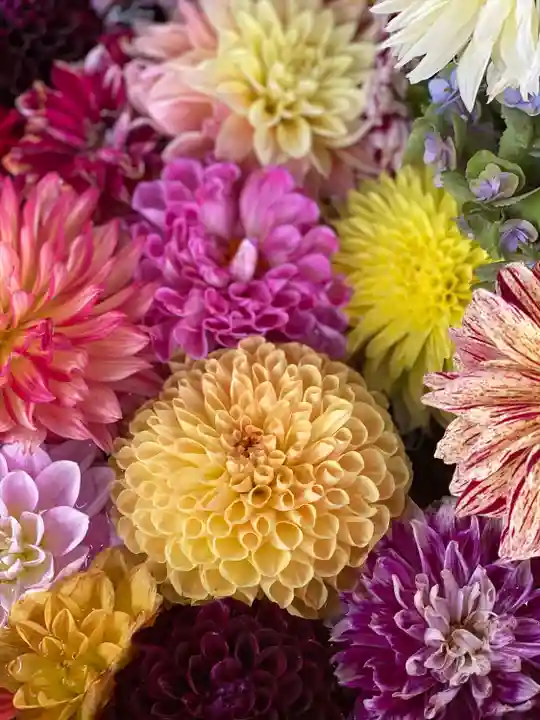 伊和志津神社の自然