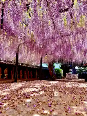 潮音寺(愛知県)