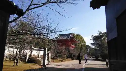 仁和寺のその他建物