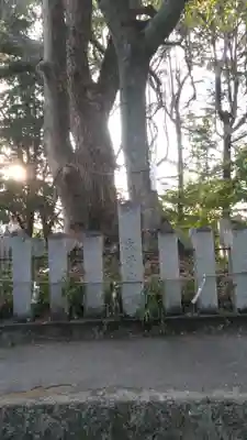 白髭神社のその他建物