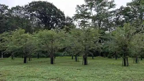 浄願寺跡の自然
