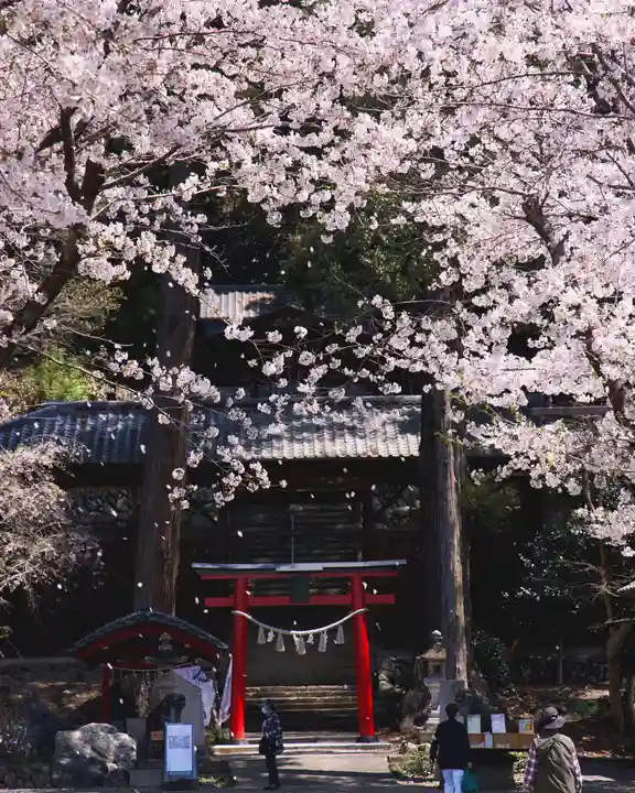 小幡八幡宮(群馬県)