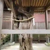 鶴嶺八幡宮の自然