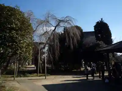 慶龍寺のその他建物