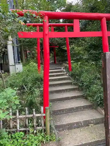 武蔵一宮氷川神社(埼玉県)