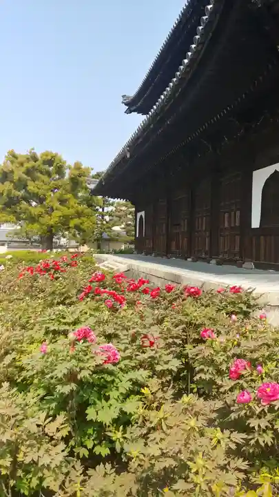 建仁寺(建仁禅寺)の庭園