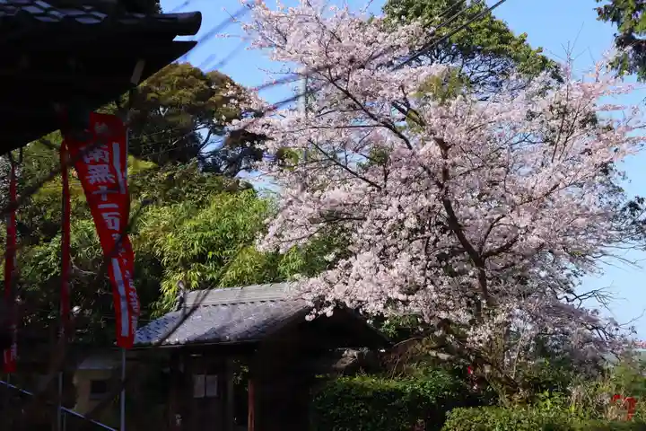 牟禮山観音禅寺の自然