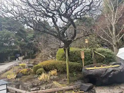 長谷寺の庭園