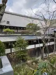 金剛城寺の建物その他