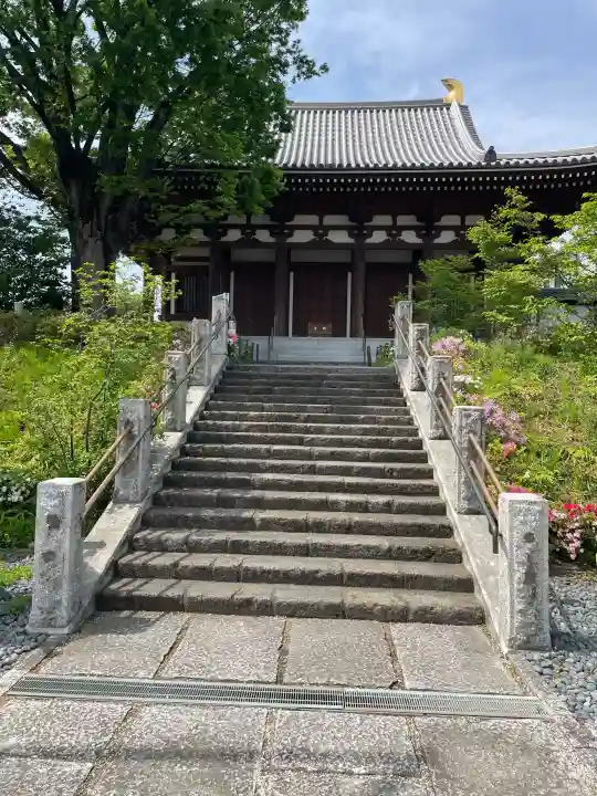 石上寺の{uncategorized: "未分類", other: "その他", undefined: "問題あり", building: "その他建物", grave: "お墓", sacred_gate: "鳥居", guardian: "狛犬", statue: "像", buddha: "仏像", history: "歴史", nature: "自然", garden: "庭園", animal: "動物", pagoda: "塔", temizu: "手水舎", mountain_gate: "山門・神門", sanctuary: "本殿・本堂", subordinate: "末社・摂社", art: "芸術", scenery: "景色", jizo: "地蔵", ema: "絵馬", goshuin: "御朱印", omikuji: "おみくじ", items: "授与品その他", amulet: "お守り", goshuincho: "御朱印帳", eats: "食事", festival: "お祭り", votive_dance: "神楽", shichigosan: "七五三参", wedding: "結婚式", experience: "体験その他", initially: "初詣", around: "周辺", anti_infection: "感染症対策"}