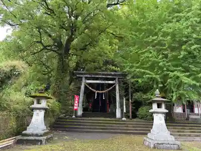 照日神社の{uncategorized: "未分類", other: "その他", undefined: "問題あり", building: "その他建物", grave: "お墓", sacred_gate: "鳥居", guardian: "狛犬", statue: "像", buddha: "仏像", history: "歴史", nature: "自然", garden: "庭園", animal: "動物", pagoda: "塔", temizu: "手水舎", mountain_gate: "山門・神門", sanctuary: "本殿・本堂", subordinate: "末社・摂社", art: "芸術", scenery: "景色", jizo: "地蔵", ema: "絵馬", goshuin: "御朱印", omikuji: "おみくじ", items: "授与品その他", amulet: "お守り", goshuincho: "御朱印帳", eats: "食事", festival: "お祭り", votive_dance: "神楽", shichigosan: "七五三参", wedding: "結婚式", experience: "体験その他", initially: "初詣", around: "周辺", anti_infection: "感染症対策"}