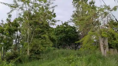 湊神社跡の自然
