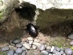 瀧原宮(皇大神宮別宮)の動物