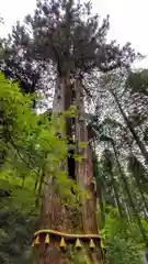 御岩神社(茨城県)