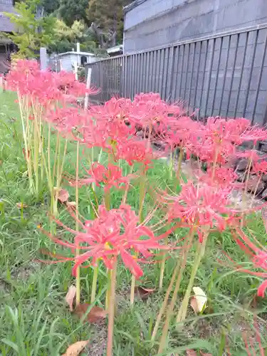 横浜　西方寺(神奈川県)