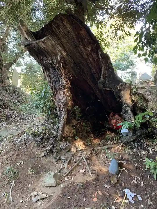 貴船神社(千葉県)