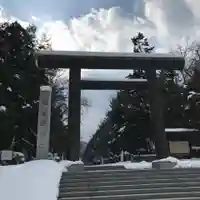 北海道神宮の鳥居