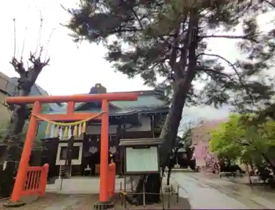 猿田彦神社(東京都)