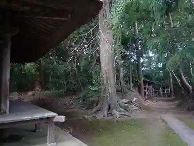 宝珠院観音堂(千葉県)