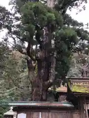 若狭姫神社（若狭彦神社下社）(福井県)