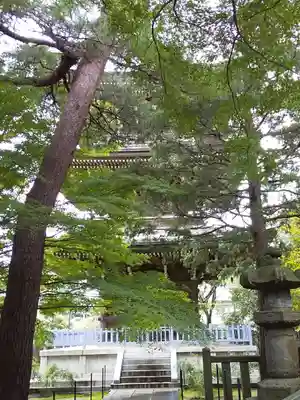 道場寺のその他建物