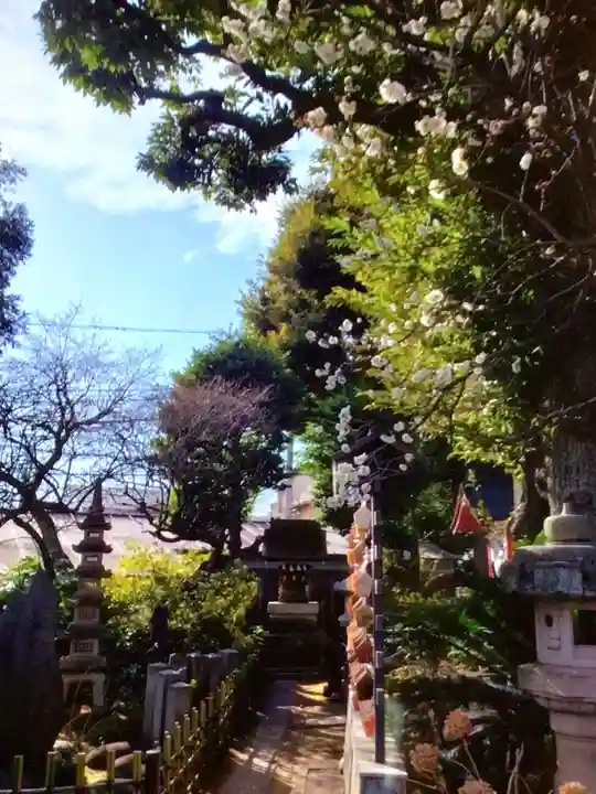 新井天神北野神社(東京都)