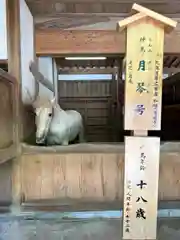 金刀比羅宮の動物