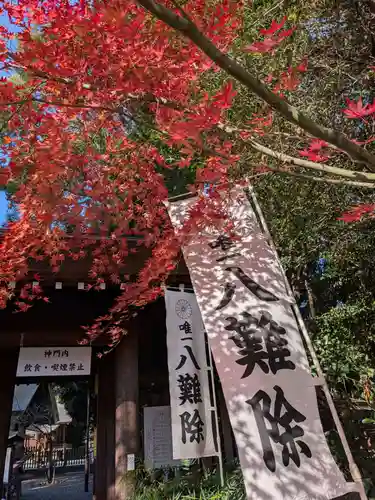 阿佐ヶ谷神明宮(東京都)