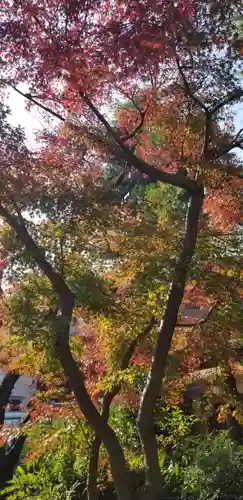 香取神社の自然