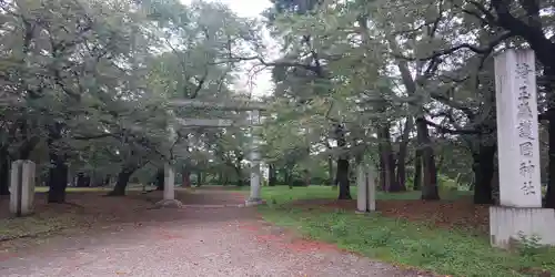 埼玉縣護國神社の鳥居