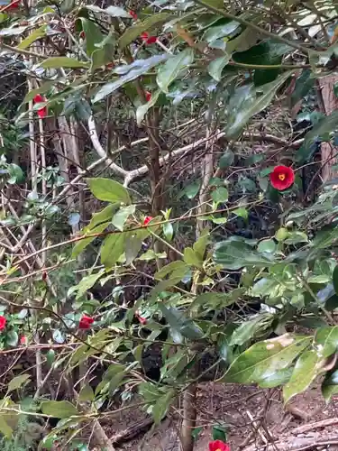 河上神社の自然