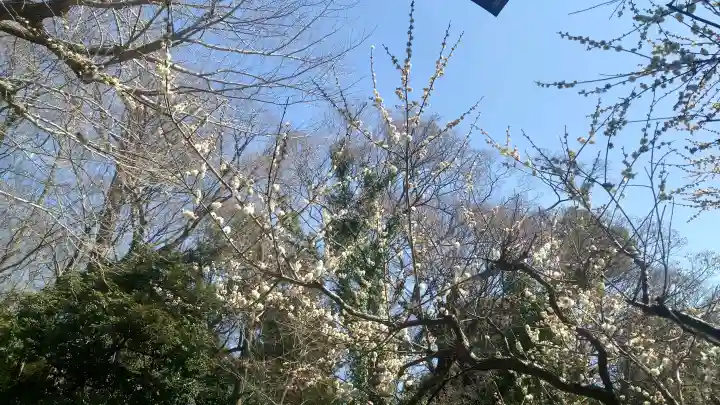 谷保天満宮(東京都)