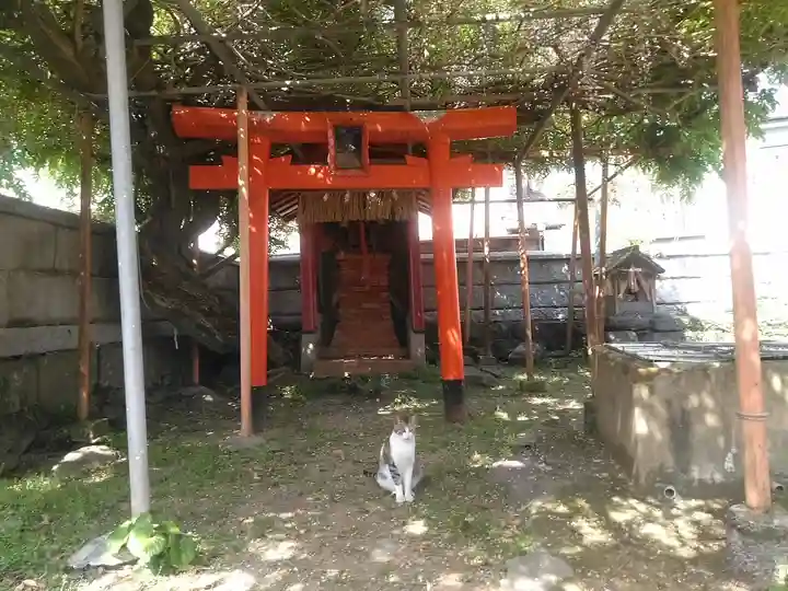 若宮神社(福岡県)